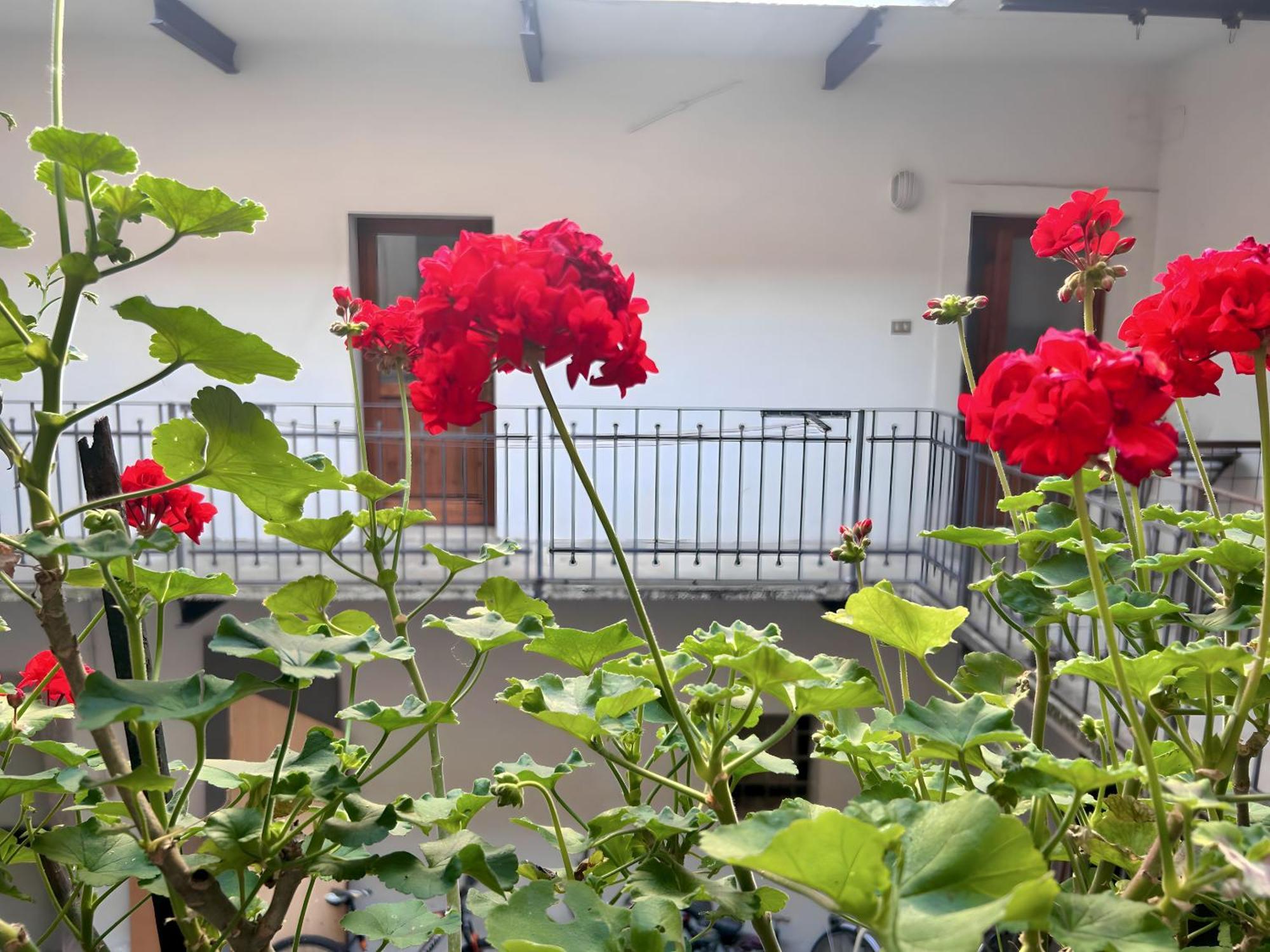 Gorizia Holiday Inn Rastello Suite Ngoại thất bức ảnh